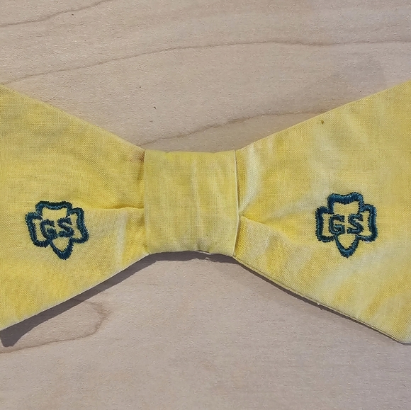 Vintage Girl Scout Dress - Picture 12 of 13